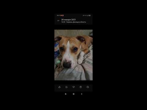 Видео: АСМР Что в моем телефоне Xiaomi Note 8 Pro/ASMR What's on my phone Xiaomi Note 8 Pro