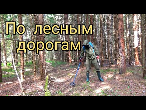 Видео: По лесным дорогам с металлоискателем.