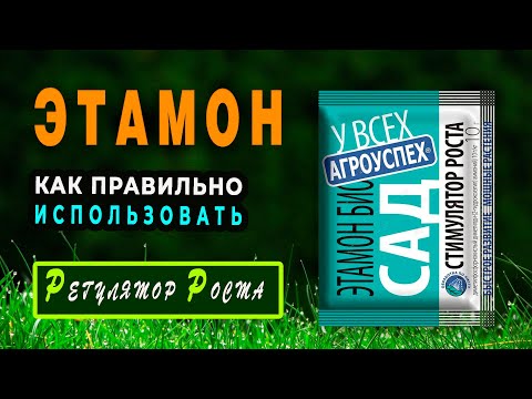 Видео: Регулятор роста ЭТАМОН. Как ПРАВИЛЬНО использовать Этамон