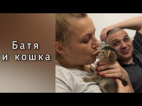 Видео: Уговариваем Батю взять кошку, полная версия