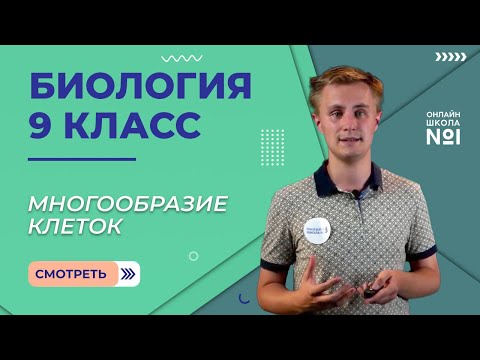 Видео: Многообразие клеток. Видеоурок 3. Биология 9 класс