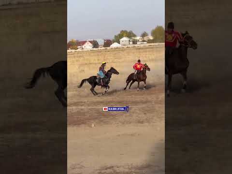 Видео: 8 ноября 2025 г.