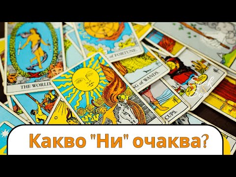 Видео: ✨️Разберете какво Ви престои с човека!!!!??? ..