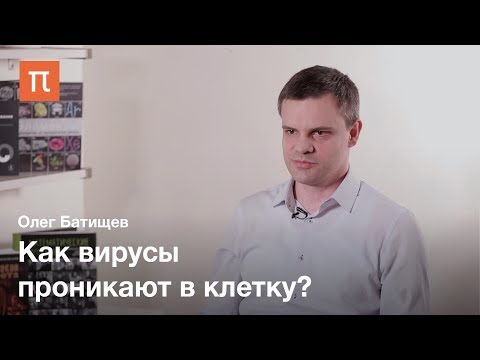 Видео: Биофизика вирусов — Олег Батищев