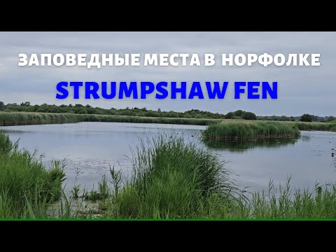 Видео: Заповедник  Англии Strumpshaw Fen в графстве Норфолк
