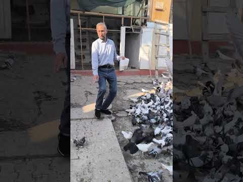 Видео: 24 октября 2025 г.