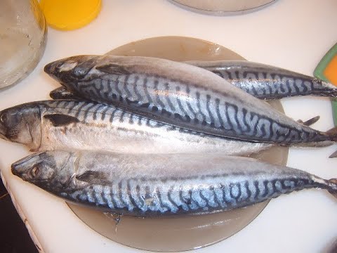 Видео: Скумбрия. Маринкины творинки. Всем МИРА и Добра!
