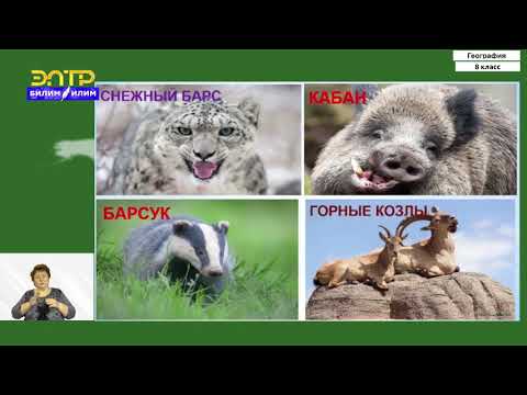 Видео: 8-класс | География  | Северный Тянь-Шань