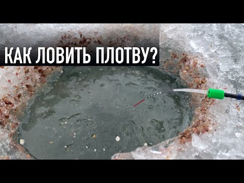 Видео: КАК ЛОВИТЬ ПЛОТВУ? СОВЕТЫ СПОРТСМЕНА. Плотва на мормышку