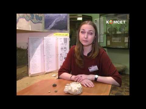 Видео: брахиоподы