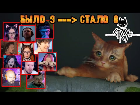 Видео: Реакция Летсплейщиков на Грустную Сцену в Stray