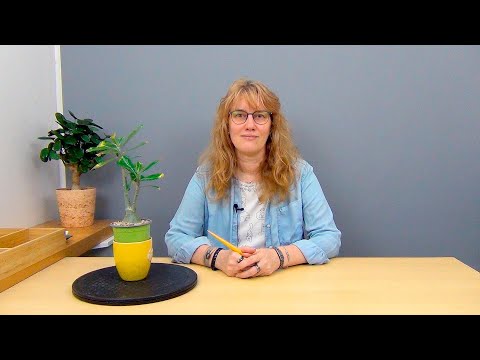 Видео: Формирование адениума (ч.2).