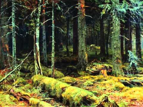 Видео: "В тёмном лесе..." Русская народна�