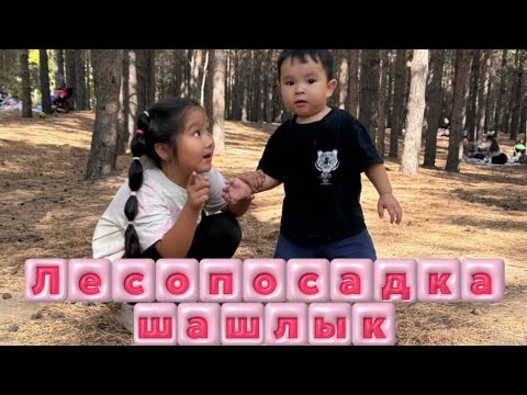 Видео: Кәуаптың сезонын жаптық 🍉🍅🥒🍖🍡🍢🥩🥩🥩🍖🍗