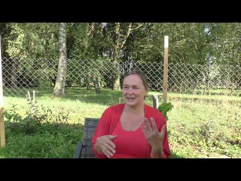 Видео: Домашнее вино. Тонкости и секреты брожения на мезге