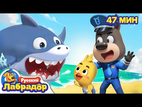 Видео: 🦈Нападение большущей акулы! | 🚢Безопасность снаружи | 🔍Сборник мультиков для детей | Шериф Лабрадор