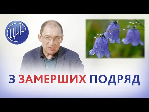 Видео: 3 замерших беременности подряд. Причины привычного енвынашивания беременности.