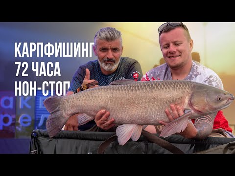 Видео: 72 часа ловли карпа и амура. Первые соревнования по классическому карпфишингу в эко-парке Акварель