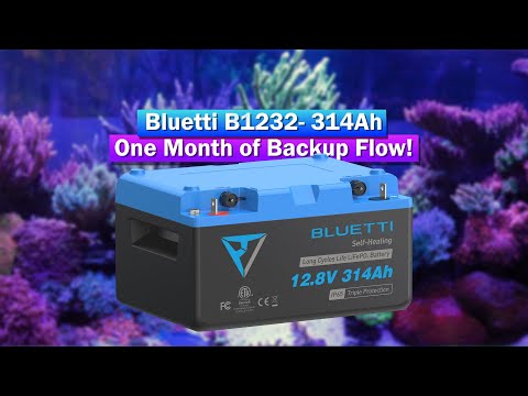 Видео: Bluetti B1232 Lifep04 — 1 месяц непрерывного потока? Идеальный резервный аккумулятор для рифового...