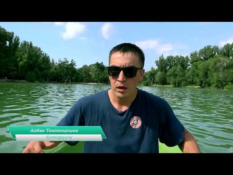 Видео: Сууга чоккон адамга биринчи жардам корсотууну билесизби?