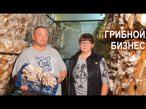 Видео: Грибной бизнес семьи Топорковых. Вешенка и другие грибы. Агрофирма "Грибы Урала".