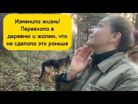 Видео: Как одно решение, купить участки земли с торгов по банкротству изменило мою жизнь. 