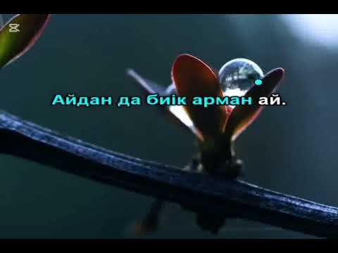 Видео: Тоқтар Серіков - Мойыл Көз караоке минус