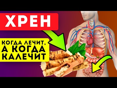 Видео: ЧТО ТВОРИТ ХРЕН! 99% людей не догадываются о его силе! Суставы, мужская сила, простуда и...