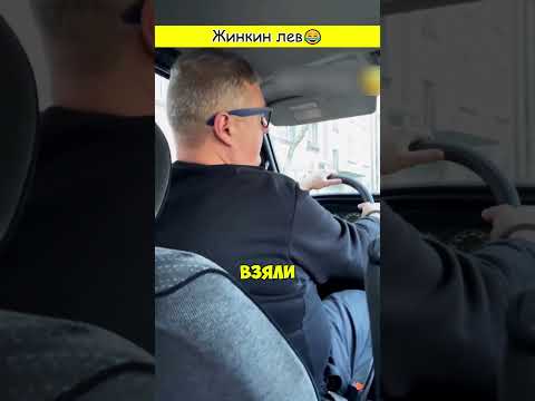 Видео: Жинкин лев😂
