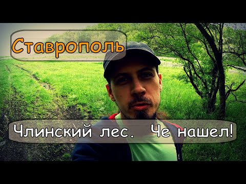 Видео: Ставрополь. Лес. Река Чла. Что же это я нашел!