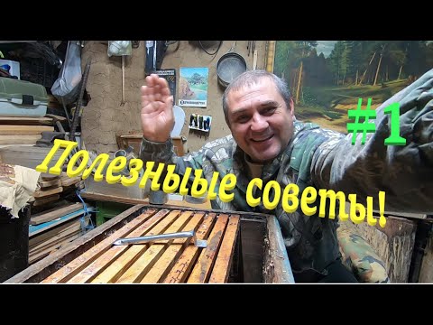 Видео: ✅ Полезные советы перед зимовкой пчел! #пчеловодство1