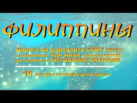 Видео: Дорога до аэропорта СЕБУ 2019 от деревеньки Тан Аван городка ОСЛОБ, где купаются с КИТОВЫМИ АКУЛАМИ