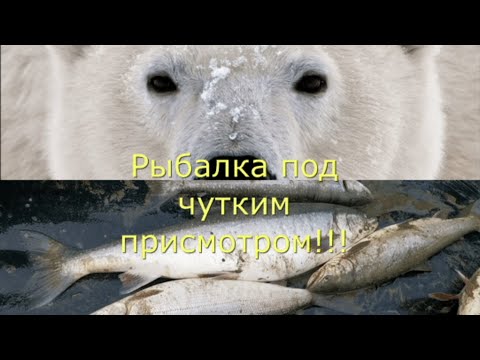 Видео: Самая опасная рыбалка в моей жизни!!!