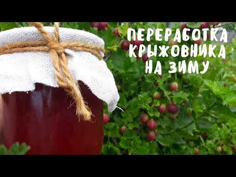 Видео: ЖЕЛЕ ИЗ КРЫЖОВНИКА. Заготовки на зиму. Мой опыт.