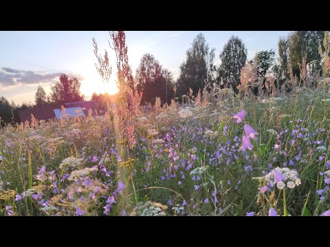 Видео: Деревня Румасово Нижегородская область