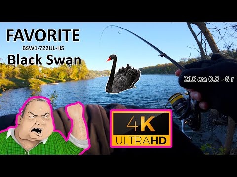 Видео: Вигуляв свій ультрік Black Swan 0.8-6 г. Враження від спінінгу після досвіду з японськими топами