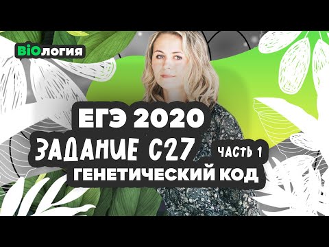 Видео: Задание 27. Вариант №1. Генетический код. Решаем задачи ЕГЭ Биология 2020.