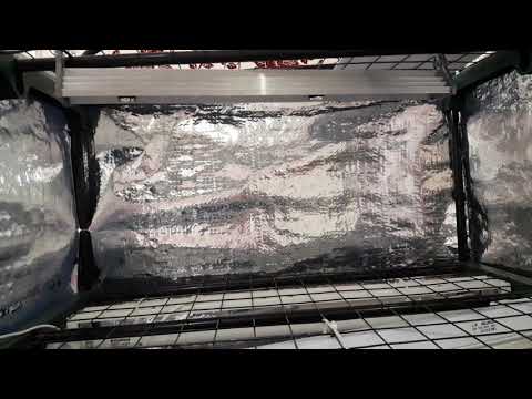 Видео: Какие фитолампы для выращивания рассады я использую.