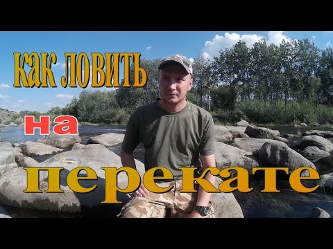 Видео: Как ловить на перекате окуня и голавля