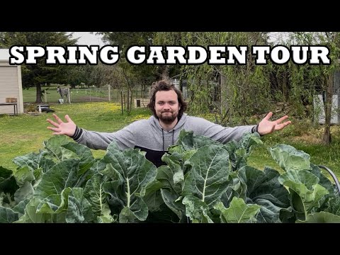 Видео: Весенний тур по саду в австралийской усадьбе