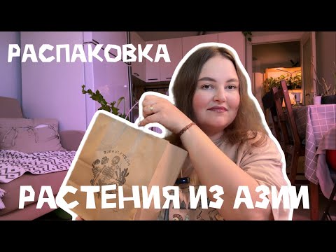 Видео: РАСПАКОВКА РАСТЕНИЙ | АЗИЯ