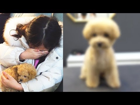 Видео: Ты ее помнишь?