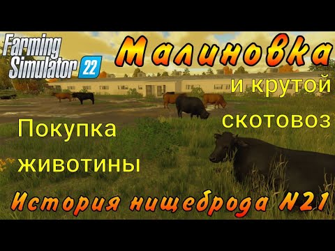 Видео: Farming Simulator 22. Малиновка. История нищеброда №21. Покупка животины и крутой скотовоз.