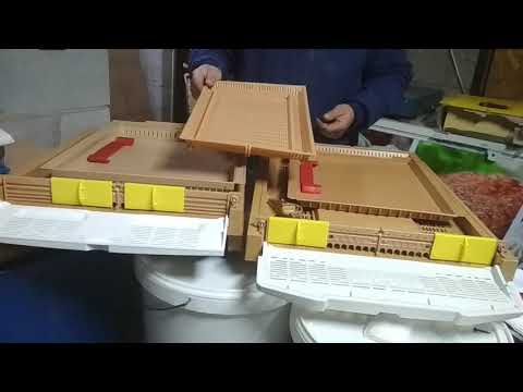 Видео: Турецкий донный пыльцесборник