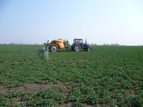 Видео: "Сєня, карбендазим вже не актульно!" Ріпак, ЗАХИСТ, ВЕСНА