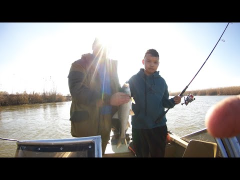 Видео: Рыбалка в Маково  11.11.2023.