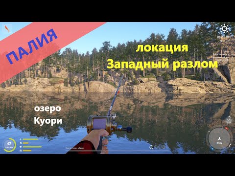 Видео: Русская рыбалка 4 - озеро Куори - Палия не на вэки