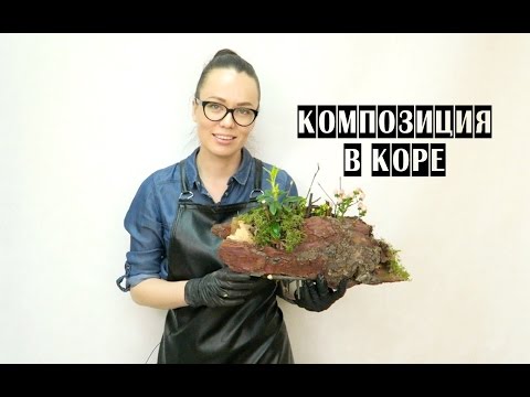 Видео: КОМПОЗИЦИЯ В КОРЕ | Интерьерная флористика