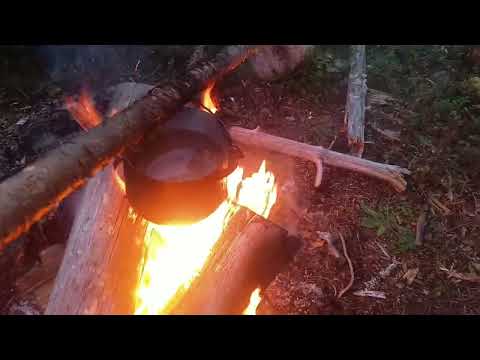 Видео: Не за Рыбой , а на Рыбалку с с Женой...