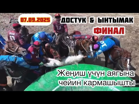 Видео: БИР ЖУМА КҮТТҮКГО БУЛ КҮНДҮ